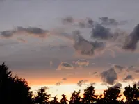 DSCF9301.webp