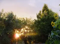 DSCF9227.webp
