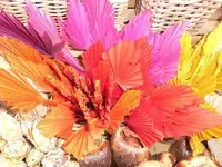 Bilda008.webp