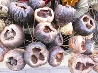 Bilda009.webp