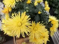 Bilda013.webp