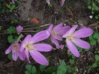DSCF3978.webp