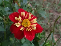 DSCF3980.webp