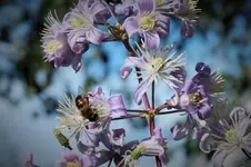 DSCF3320 (2).webp