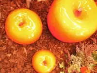 Bilda001.webp