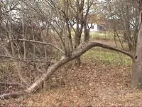 garten_19.jpg