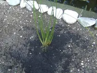 BILD4627.webp