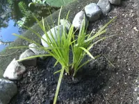 BILD4630.JPG