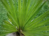 P9170431.webp