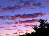 DSCN9412.webp
