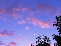 DSCN9429.webp