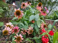 DSCF9346.webp