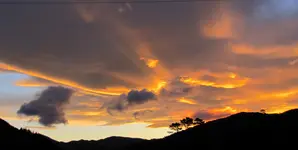 __Kia ora (6)v.webp
