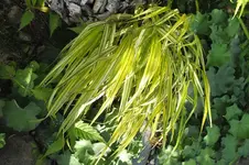 DSCF3213.webp
