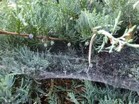 DSCF9401.webp