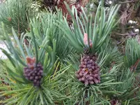 DSCF9407.webp
