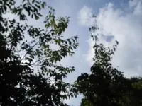 Bilda179.webp