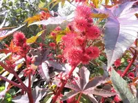 Bilda070.webp