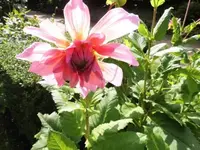 Bilda174.webp