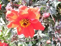 Bilda064.webp