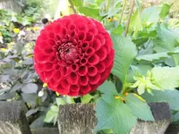 Bilda095.webp
