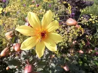 Bilda020.webp