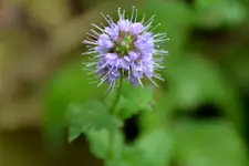 DSC_6748.webp