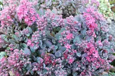 DSCF3231 (2).webp