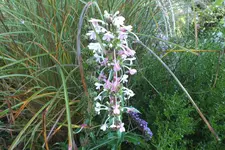 DSCF3333.webp