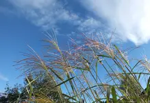 DSCF3356 (2).webp