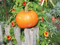 Bilda100.webp