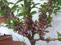 20150502_172903.webp