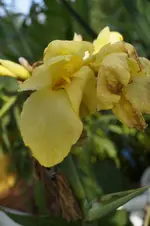 _DSC9334.webp