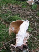 001_600x800.webp