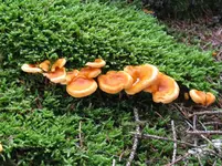 006_1067x800.webp