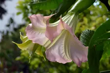 DSC_4846.webp
