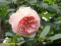 IMG_5767.webp