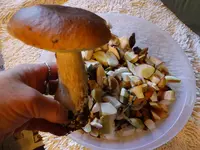 DSCF9051.webp