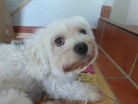 P1510659.webp
