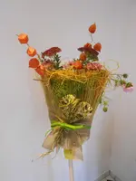 DSCN3252.webp