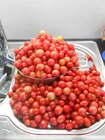 DSCN3234.webp