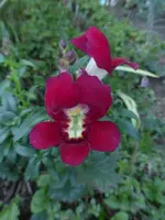 P1530047.webp