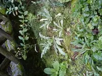 1442820129997.webp