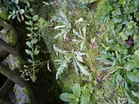 DSC02417.webp