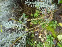 DSC02420.webp