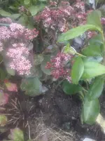 CAM01082.webp