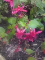CAM01083.webp