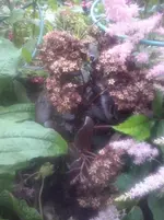 CAM01085.webp