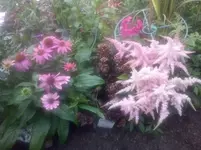 CAM01086.webp