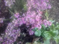 CAM01087.webp